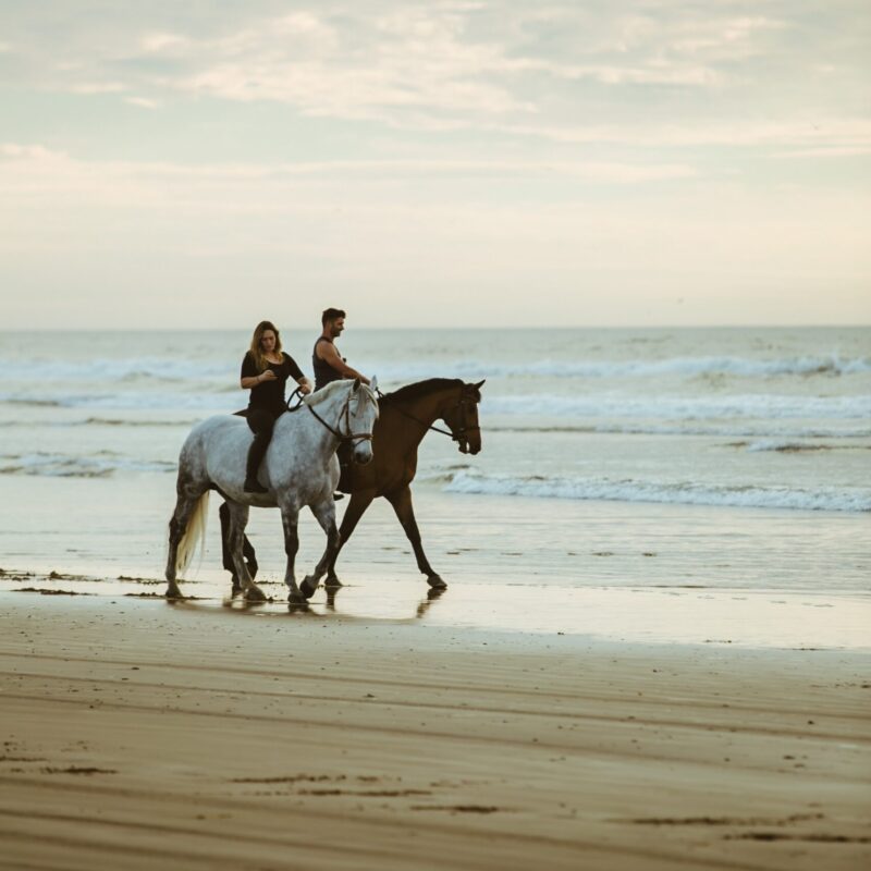 Two adults ride horses along the beach of Uvita, Costa Rica, as part of their vacation at the Vayu Retreat Villas. The boutique hotel is a luxurious and holistic wellness retreat that offers a variety of activities, including horseback riding, hiking, yoga, and surfing. The couple is enjoying the peace and quiet of the beach, the beauty of the rainforest, and the company of each other. They are looking forward to spending the rest of their vacation exploring Costa Rica's natural beauty and taking advantage of all that Vayu Retreat Villas has to offer.