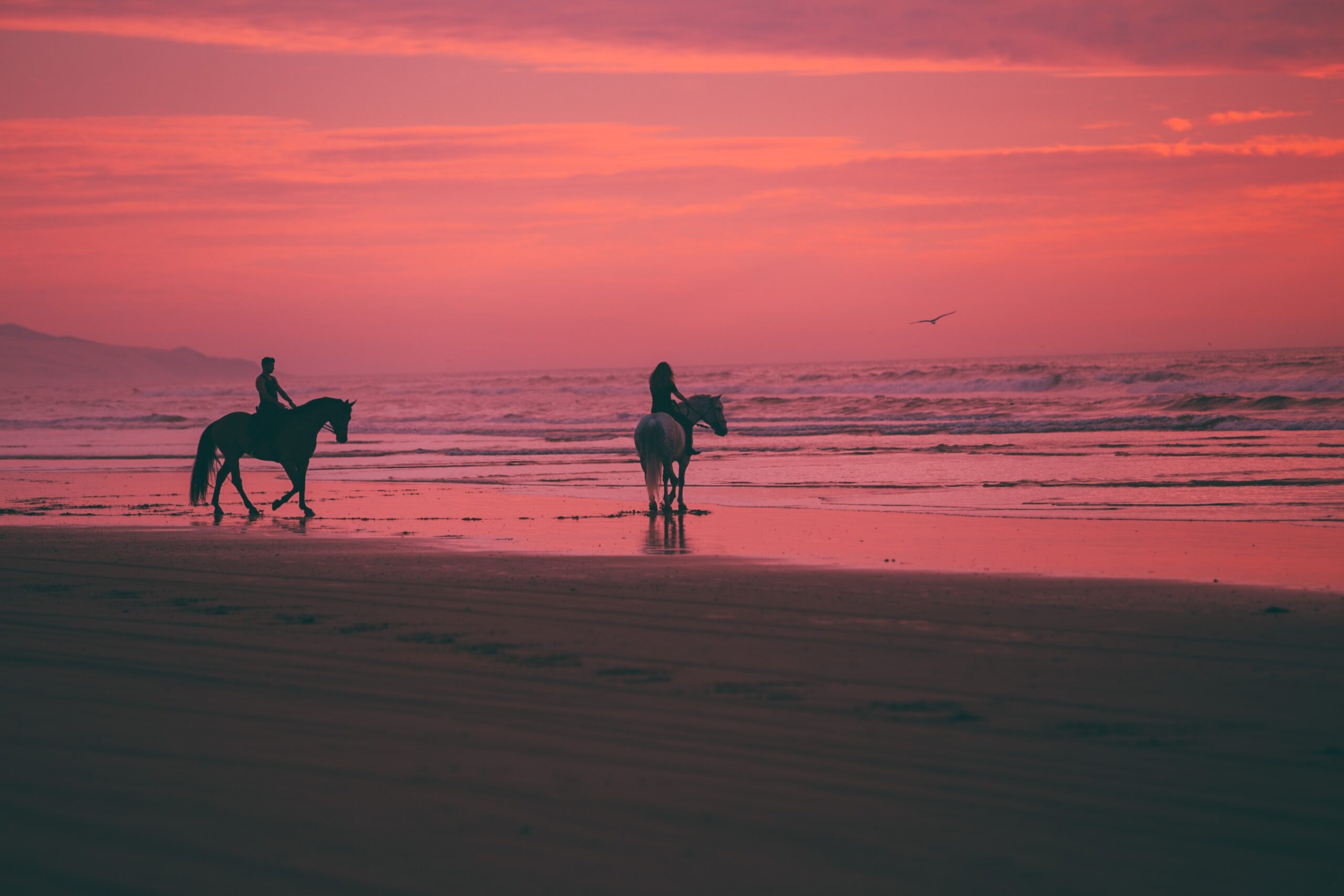 Two Horseback riders on a beautiful crimson sunset in Costa Rica